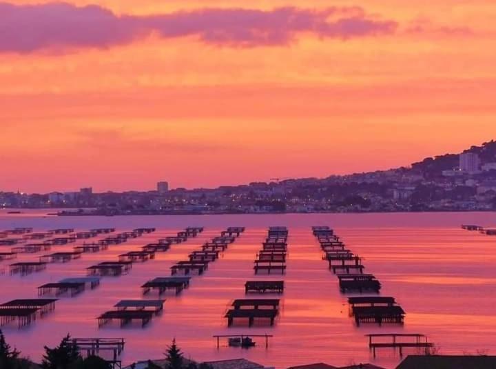 Bel Appartement Centre Ville Sète Exteriér fotografie